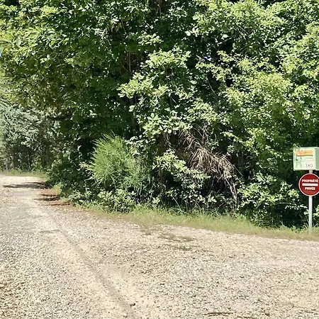 Chalet La Grisonne - Chalet3 Revest-du-Bion