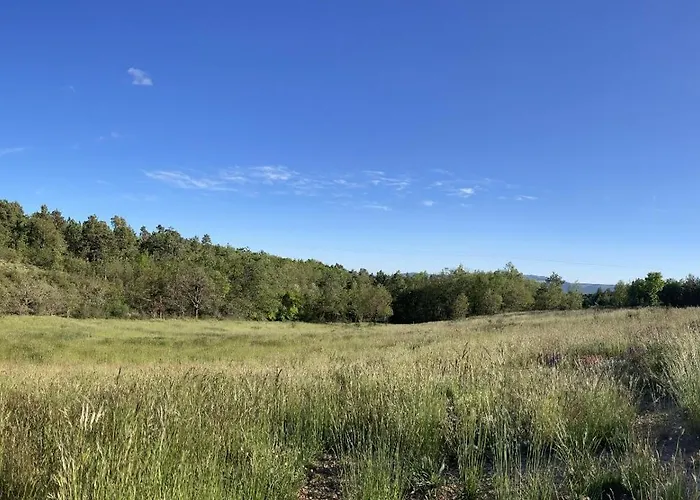 La Grisonne - Chalet3